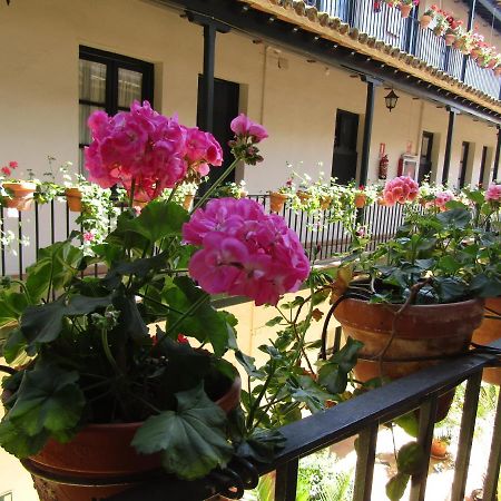 Apartamento Alameda Apartman Sevilla Kültér fotó