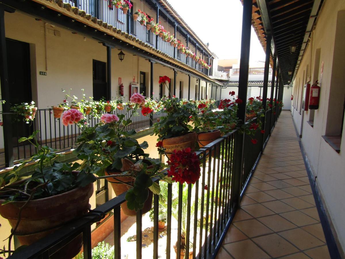 Apartamento Alameda Apartman Sevilla Kültér fotó